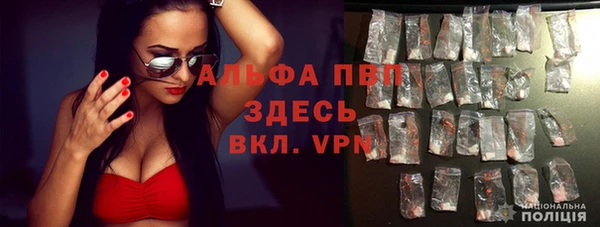 спиды Каменка