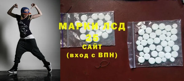 стаф Инта