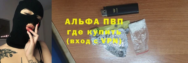 стаф Инта