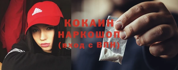 спиды Каменка