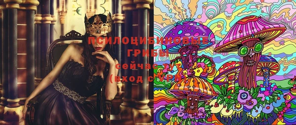 ешки Инсар