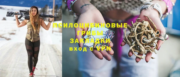 стаф Инта