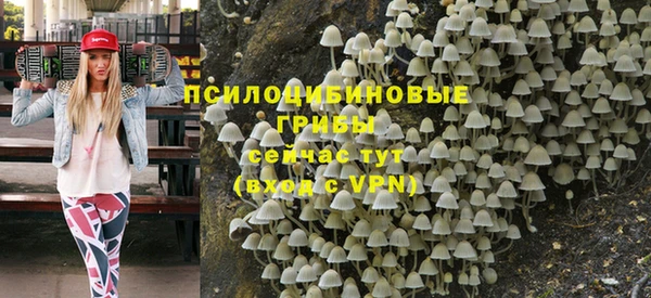 стаф Инта