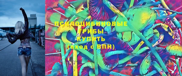 стаф Инта