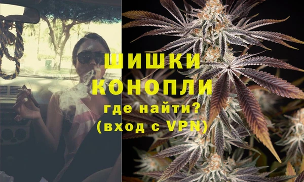 стаф Инта